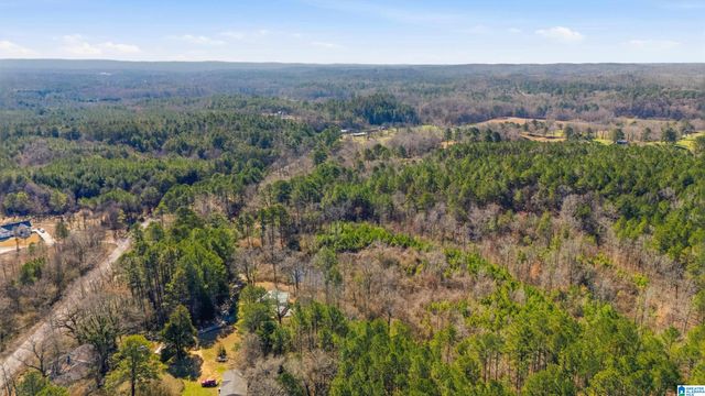 8160 ANDERSON DRIVE, Morris, AL 35116