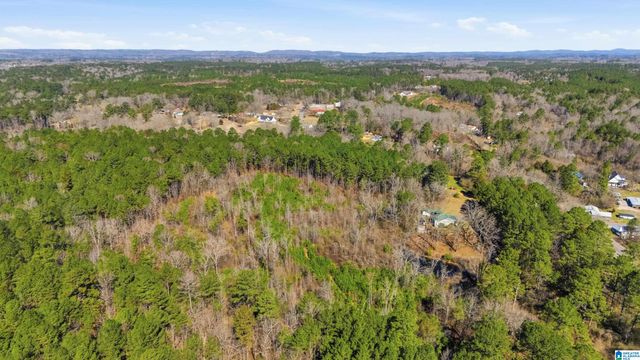 8160 ANDERSON DRIVE, Morris, AL 35116