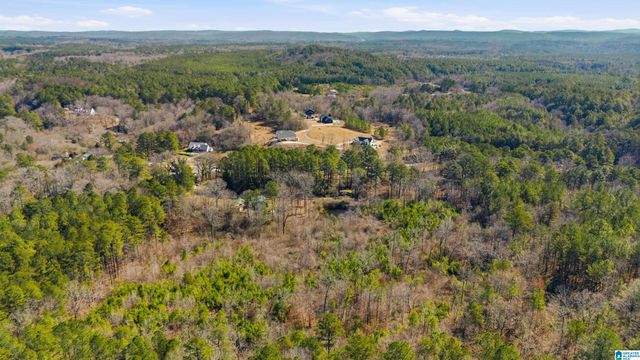 8160 ANDERSON DRIVE, Morris, AL 35116