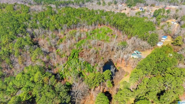 8160 ANDERSON DRIVE, Morris, AL 35116