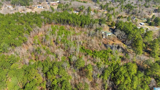 8160 ANDERSON DRIVE, Morris, AL 35116