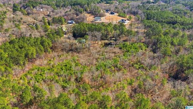 8160 ANDERSON DRIVE, Morris, AL 35116
