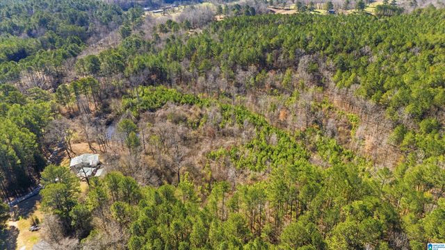 8160 ANDERSON DRIVE, Morris, AL 35116