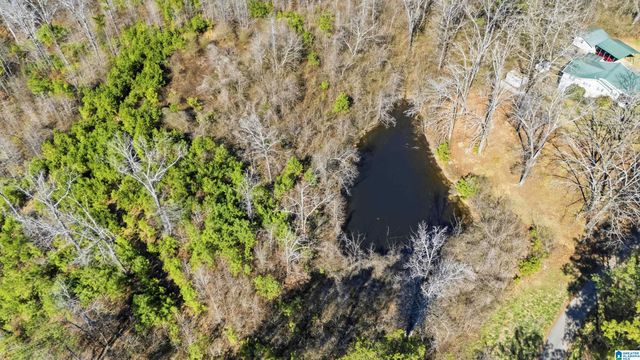 8160 ANDERSON DRIVE, Morris, AL 35116