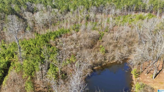 8160 ANDERSON DRIVE, Morris, AL 35116