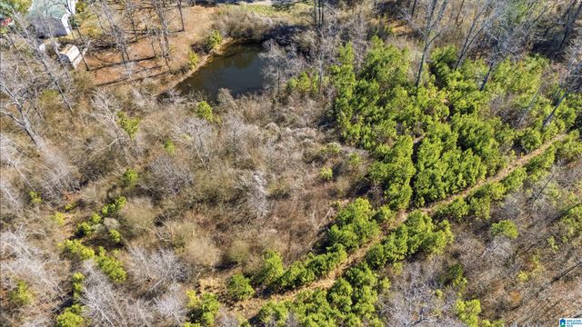 8160 ANDERSON DRIVE, Morris, AL 35116