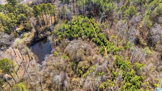 8160 ANDERSON DRIVE, Morris, AL 35116