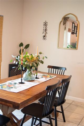 255 AUGUST FERN LOOP, Mount Dora, FL 32757