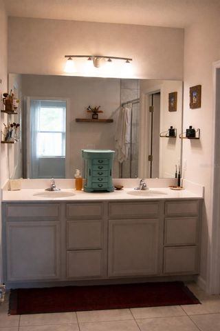 255 AUGUST FERN LOOP, Mount Dora, FL 32757