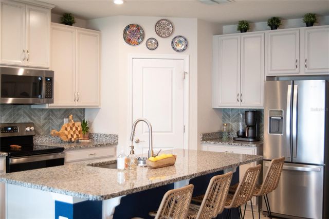 255 AUGUST FERN LOOP, Mount Dora, FL 32757