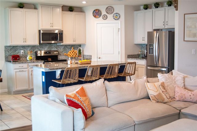 255 AUGUST FERN LOOP, Mount Dora, FL 32757