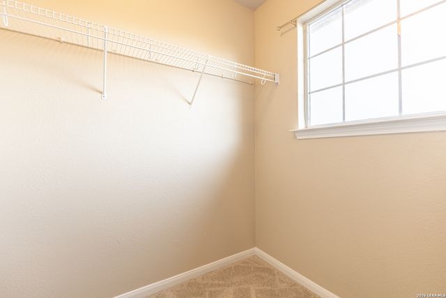 1534 Crescent Glen, San Antonio, TX 78258