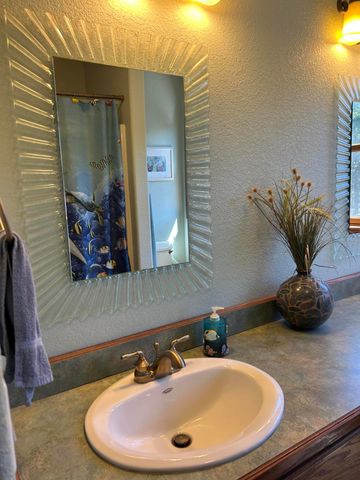 700 Shore Point Road, Blue Eye, MO 65611