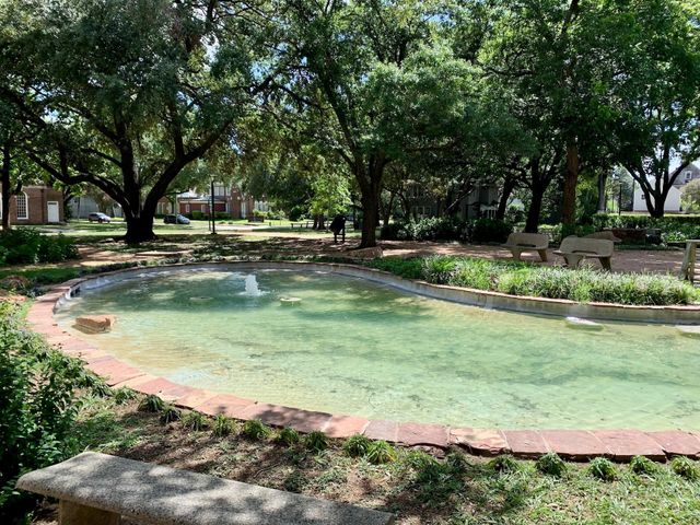 1214 Bartlett Street 14, Houston, TX 77006