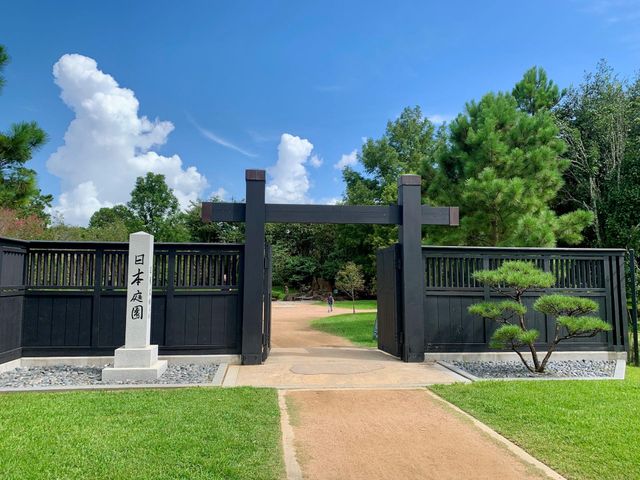 1214 Bartlett Street 14, Houston, TX 77006