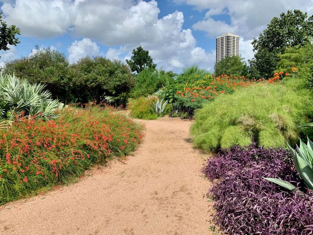 1214 Bartlett Street 14, Houston, TX 77006