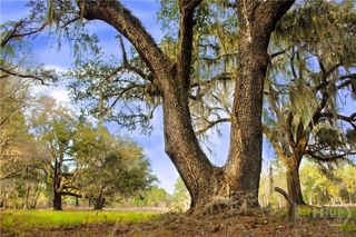 1 William's (36 lots 95 acres) Retreat, Savannah, GA 31419