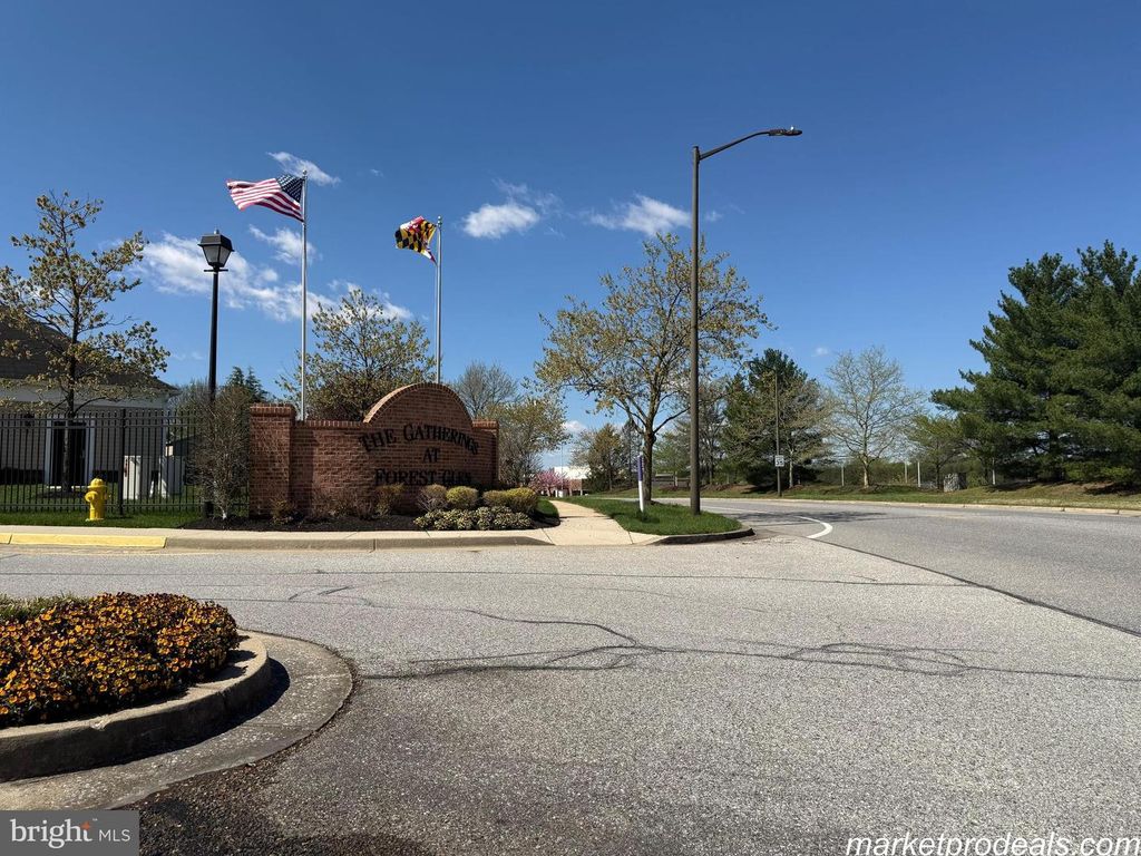 Image 45 of property listing at 8603 WINTERGREEN CT #303, Odenton, MD 21113