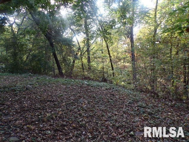 16 Wildwood Trail Trail, Bettendorf, IA 52722