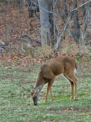 2852 Madison CR 2590, Kingston, AR 72742