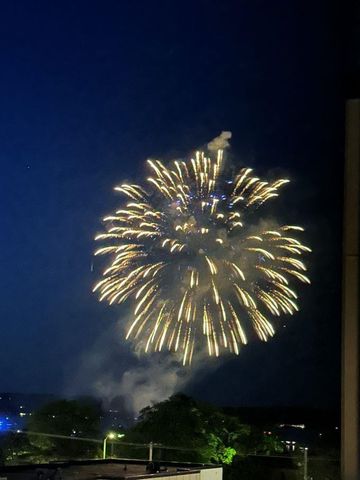 714 Randolph Street 413, Traverse City, MI 49684