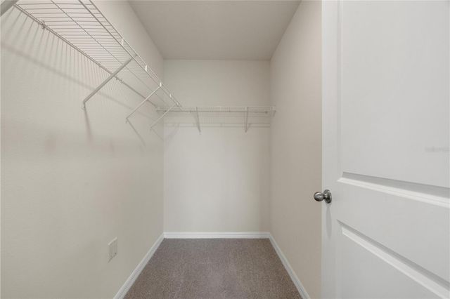 2880 GUMBO LIMBO DRIVE, Wimauma, FL 33598