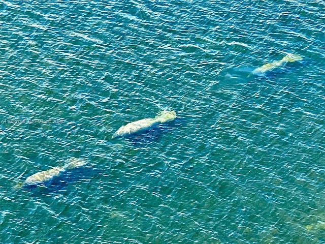 200 SE 15th Rd 15C, Miami, FL 33129