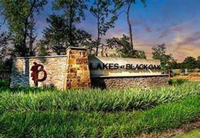 140 Ashe Juniper Way, Magnolia, TX 77354