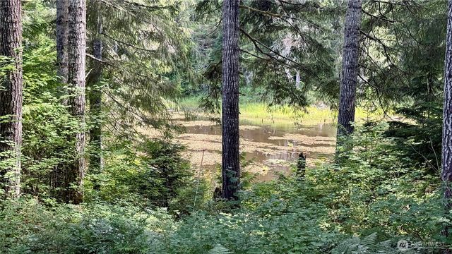 861 N Potlatch Drive, Hoodsport, WA 98548