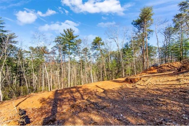 3.12 A Eric Lane, Ellijay, GA 30540