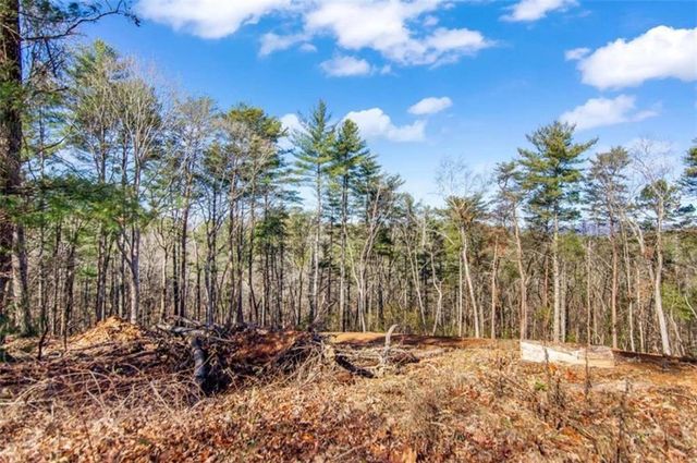 3.12 A Eric Lane, Ellijay, GA 30540