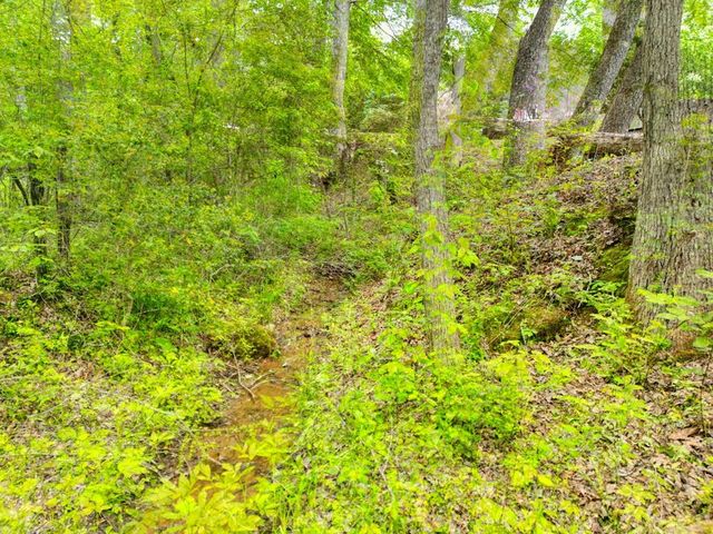 2287 Lovingood Road, Hiawassee, GA 30546