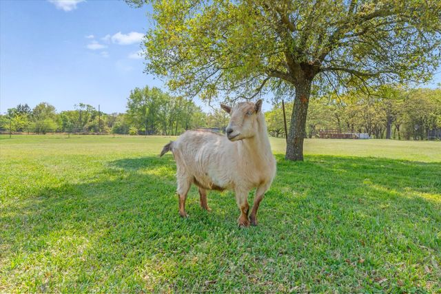 7142 S Fm 148, Kaufman, TX 75142