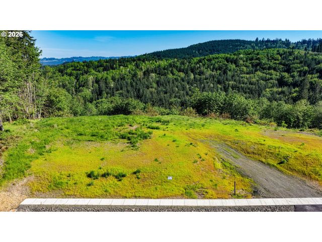 0 Carmen Sylvia Dr Lot 15, Kalama, WA 98625
