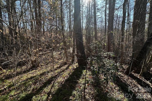 0 Clarence Towery Circle, Hildebran, NC 28637