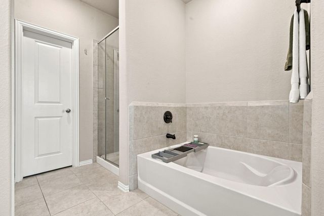29514 Water Willow Trace Drive, Spring, TX 77386