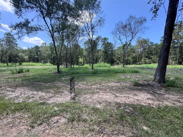 TBD County Road 201 Loop, Plantersville, TX 77363