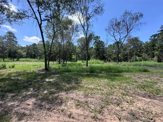 TBD County Road 201 Loop, Plantersville, TX 77363