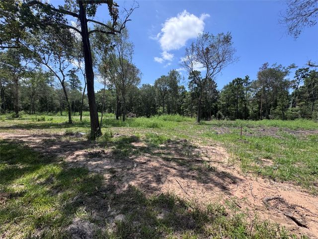 TBD County Road 201 Loop, Plantersville, TX 77363