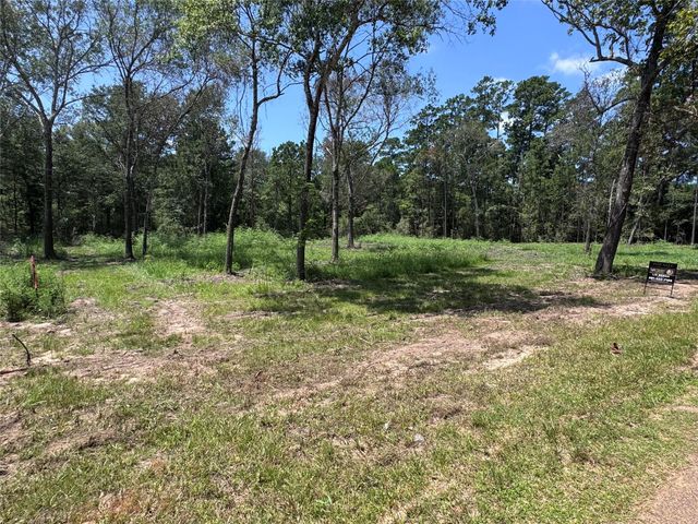 TBD County Road 201 Loop, Plantersville, TX 77363