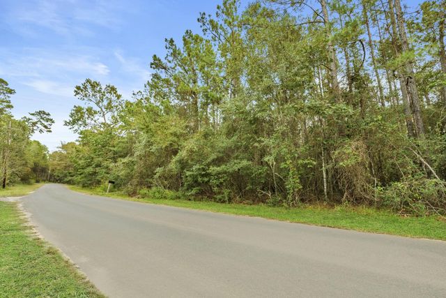 TBD County Road 201 Loop, Plantersville, TX 77363
