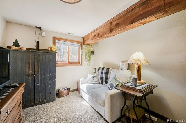 919 W Browning Avenue, Woodland Park, CO 80863