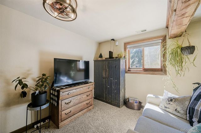 919 W Browning Avenue, Woodland Park, CO 80863