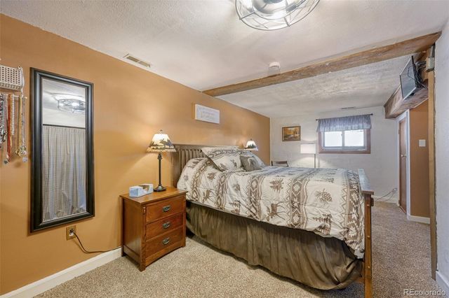 919 W Browning Avenue, Woodland Park, CO 80863