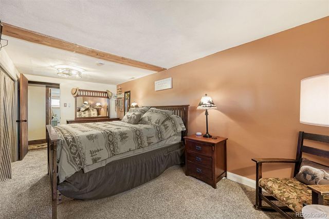 919 W Browning Avenue, Woodland Park, CO 80863