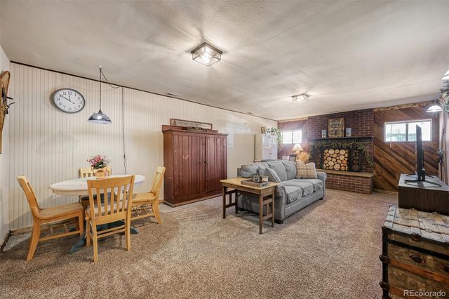 919 W Browning Avenue, Woodland Park, CO 80863