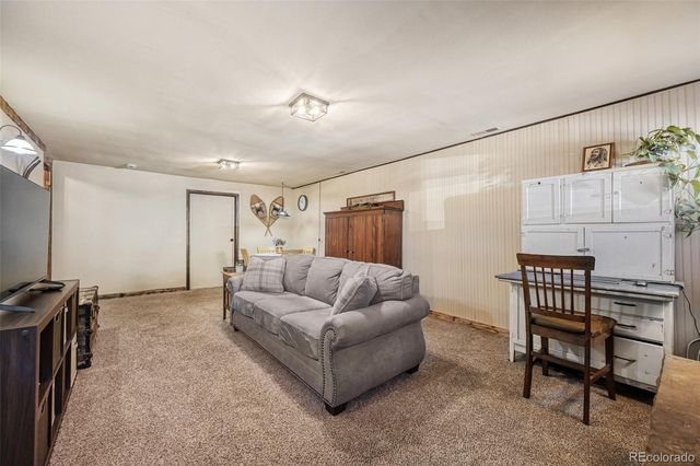 919 W Browning Avenue, Woodland Park, CO 80863