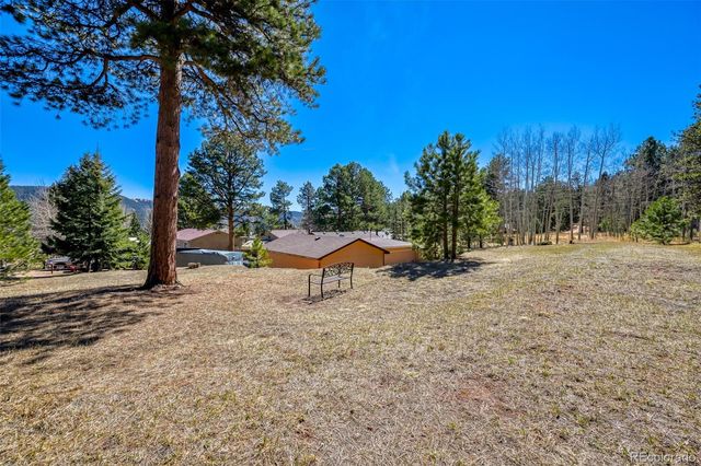 919 W Browning Avenue, Woodland Park, CO 80863