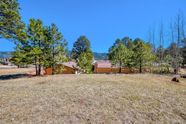 919 W Browning Avenue, Woodland Park, CO 80863