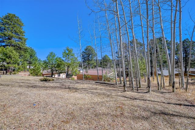 919 W Browning Avenue, Woodland Park, CO 80863